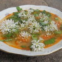 Medvehagymavirágos zöldbab leves